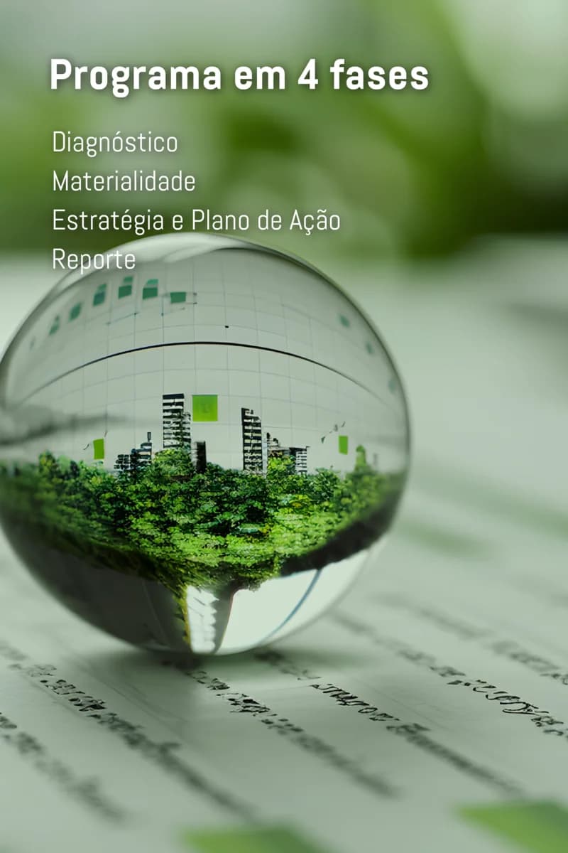 Programa em 4 fases