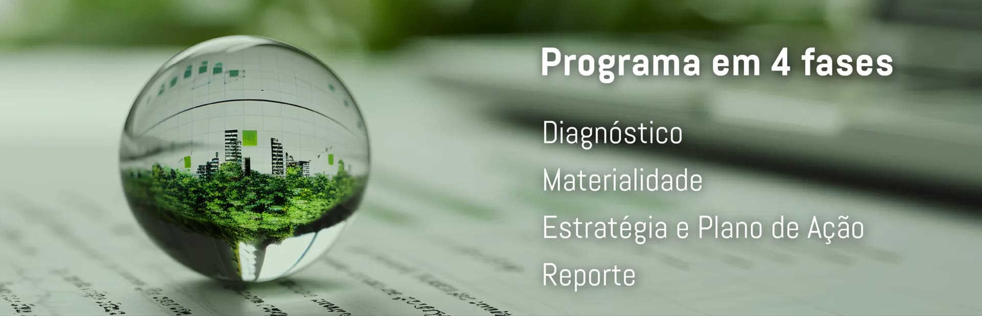 Programa em 4 fases